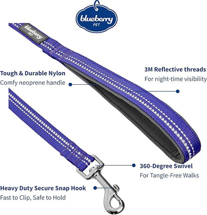 Blueberry Pet 3M Reflective Pastel Color Dog Leash with Soft & Comfortable Handle, 5 ft x 3/4", Violet, Medium, Leashes for Dogs