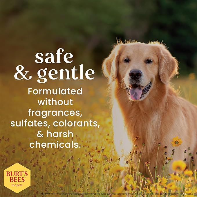 Burt’s Bees for Pets Oatmeal Dog Shampoo with Honey, Soothing Dog Shampoo for Itchy and Sensitive Skin, pH Balanced Formula that Gently Cleans and Moisturizes Dog Coats, 16 Fl Oz - 6 Pack
