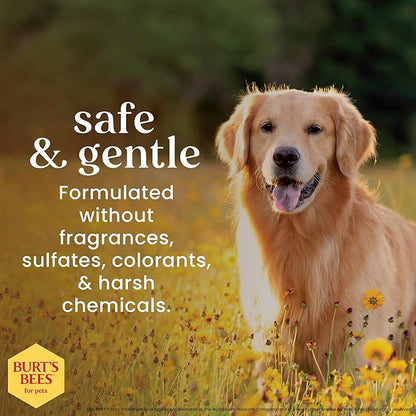 Burt’s Bees for Pets Oatmeal Dog Shampoo with Honey, Soothing Dog Shampoo for Itchy and Sensitive Skin, pH Balanced Formula that Gently Cleans and Moisturizes Dog Coats, 16 Fl Oz - 6 Pack