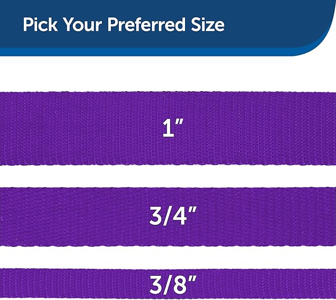 PetSafe Nylon Leash - Helps Maintain Secure Connection on Walks - Durable Pet Leash with Easy Clip - 1 in. x 6 ft. - Deep Purple