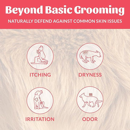 SKOUT'S HONOR Probiotic Pet Deodorizer Spray- Hydrating Daily-Use with Avocado Oil & Omega-3s, Microbiome Friendly Certiified, Paraben & Sulfate-Free, 97% Natural, 8oz, Sunkissed Coconut