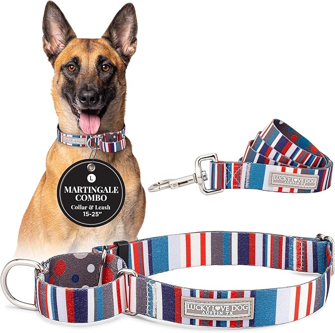 Lucky Love Dog Martingale Dog Collar & Leash - Adjustable, No-Slip, Durable, Comfortable, Soft Webbing, & Stylish Patterned Collar & Leash Set for Male and Female Dogs - Linus Combo, Large