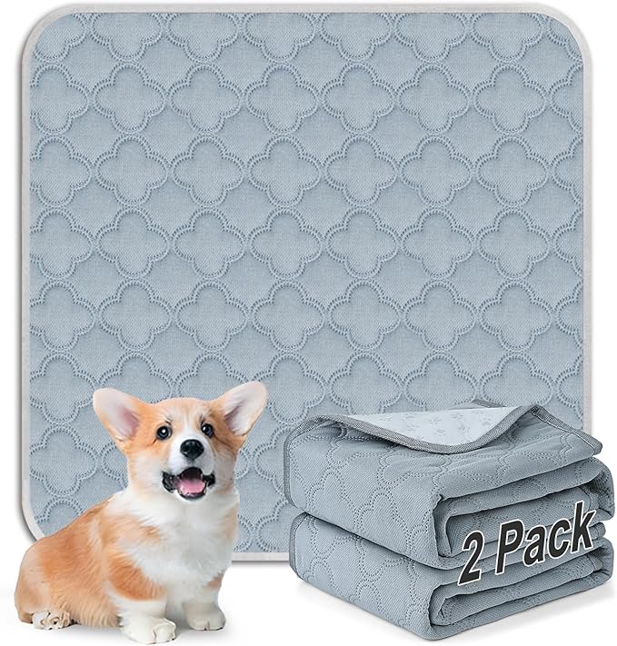 FunFurry Washable Pee Pads for Dogs - Reusable, Waterproof, Super Absorbent with Non-Slip Backing (Light Grey, 24" X 24" - 2 Pack)