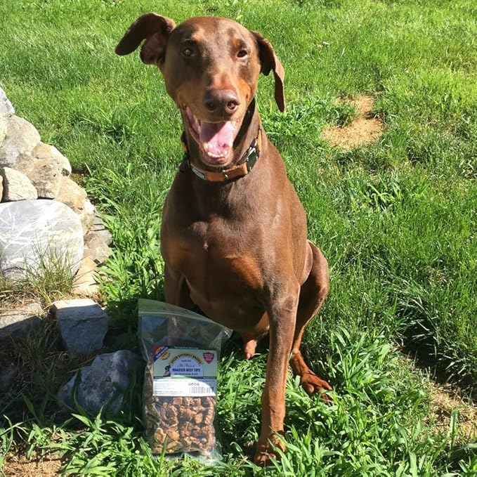 Beef Dog Treats – Made in USA Only – All Natural, Meaty Beef Tips – Premium, Slow Roasted – Grass Fed, Farm Raised – Crunchy, Grain Free Training Treat, 8 Ounces