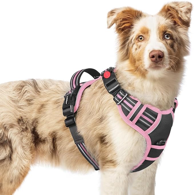rabbitgoo Dog Harness Medium Sized, No Pull Pet Harness with 3 Buckles, Adjustable Soft Padded Vest with Control Handle, Walking Reflective Pet Vest for Medium Dogs, Black & Pink, M