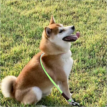 MayPaw Slip Collar Nylon Rope Choke Collar for Dog Training- No Pull Round Martingale Dog Collars for Medium Large Dogs (24" x 1/2", Green)