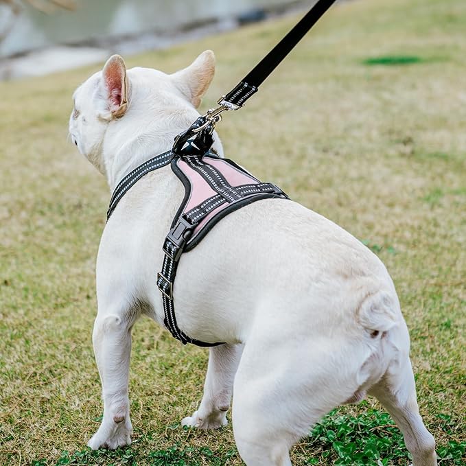 PUPTECK Dog Harness and Leash Set Small Sized, Adjustable Reflective Escape Proof Puppy Vest, No Pull Walking Harness Easy Control