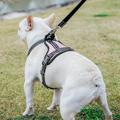 PUPTECK Dog Harness and Leash Set Small Sized, Adjustable Reflective Escape Proof Puppy Vest, No Pull Walking Harness Easy Control