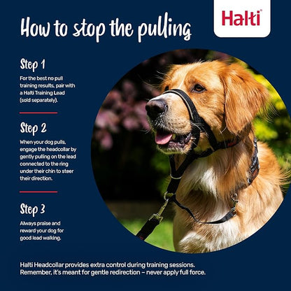 Halti Headcollar - Stop Your Dog Pulling on The Leash. Adjustable, Reflective and Lightweight, with Padded Nose Band. Dog Training Anti-Pull Collar for Medium Dogs (Size 2, Burnt Orange)