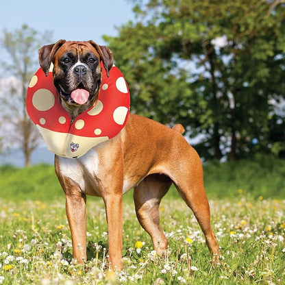 Mushroom Inflatable Dog Recovery Collar, Comfortable Cone Replacement for Pet Surgery, Protective Collars to Prevent Licking & Biting, Size Large