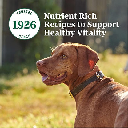 Nutro Adult Wet Dog Food, Natural Grain Free Dog Food Wet Cuts in Gravy Simmered Beef & Potato Stew Recipe, 3.5 oz. Trays (Pack of 24)