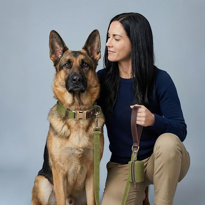 Didog Soft PU Leather Dog Collar for Large Dogs,Classic Adjustable Wide Dog Collars with Quick Release Metal Buckle,Easy Clean and Comfortable with Nylon Lining,Olive Green,XL Neck 20-27", Width 1¼"