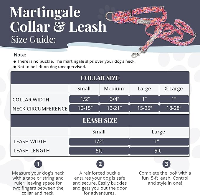 Lucky Love Dog Martingale Dog Collar & Leash - Adjustable, No-Slip, Durable, Comfortable, Soft Webbing, & Stylish Patterned Collar & Leash Set for Male and Female Dogs - Rosie Combo, Small
