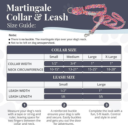 Lucky Love Dog Martingale Dog Collar & Leash - Adjustable, No-Slip, Durable, Comfortable, Soft Webbing, & Stylish Patterned Collar & Leash Set for Male and Female Dogs - Rosie Combo, Small