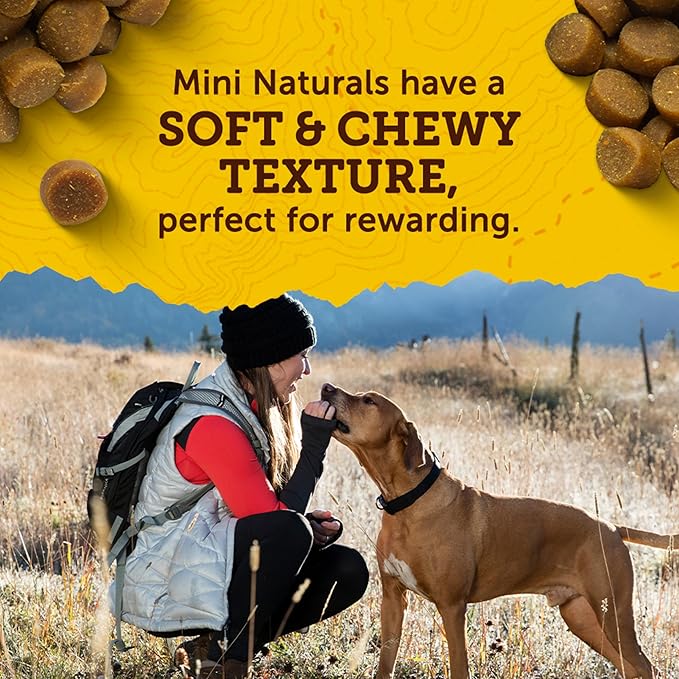 Zuke's Mini Naturals Dog Training Treats for Dogs, Real Salmon Flavor - 10 oz. Pouch