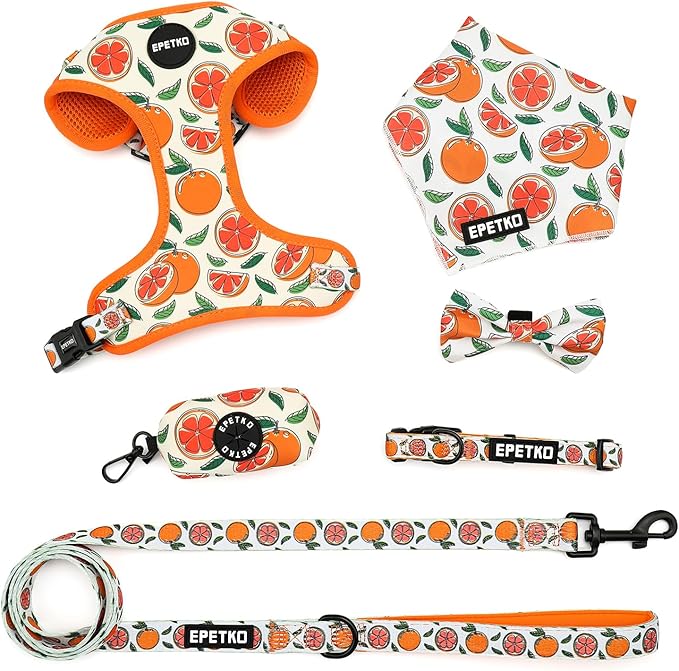 Small Dog Harness and Leash Set of 6, No Pull Soft Lightweight Mesh Puppy Harness， Adjustable Cute Floral Pattern Pet Harness for Small Medium Dogs (Orange, S)