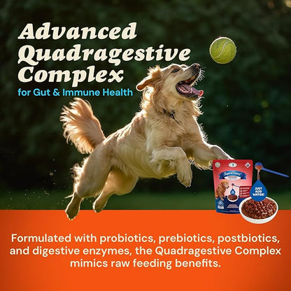 CLEAR CONSCIENCE PET® Barkinara™ SuperGravy® Natural Dog Food Gravy Topper, Hydration Broth Mix, Gluten and Grain Free Kibble Seasoning Powder Topper for Picky Eaters (2.1 oz. (14 Scoop))