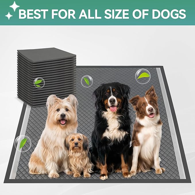 ALL FOR PAWS Pee Pad Holder, XL Dog Litter Box, Puppy Pads Holder, Puppy Potty Tray for Small/Medium/Large Dog Potty Training, 25" x 25"