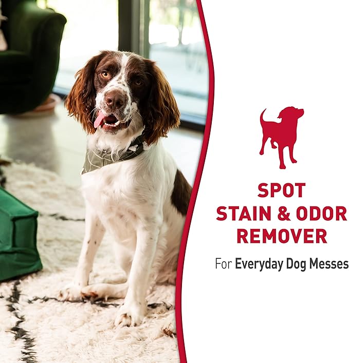 Nature’s Miracle Stain & Odor Remover, Tough on Dog Urine, Feces, Vomit, Drool and Other Organic Stains and Odors, 170 fl oz Refill