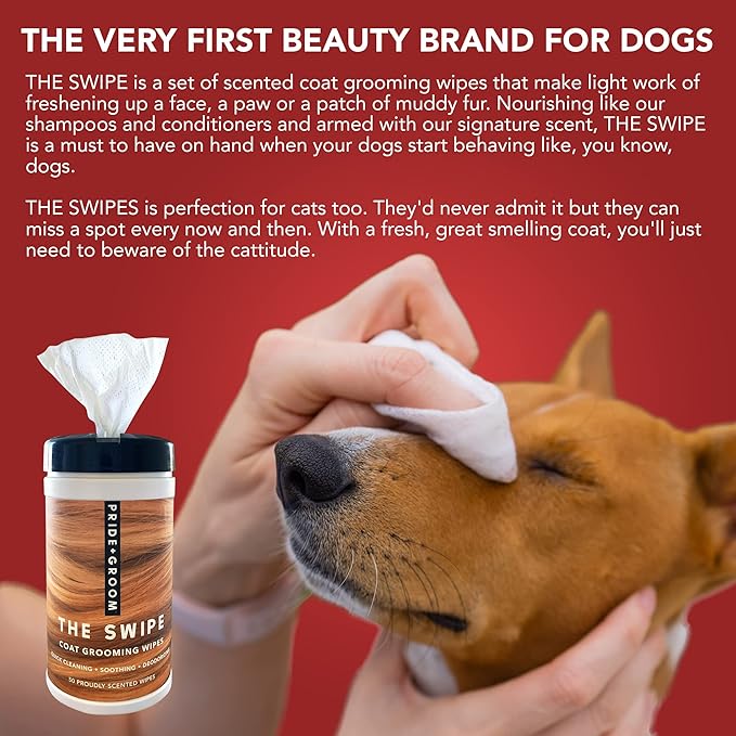 Pride and Groom The Swipe – Soothing Coat Grooming Dog and Pet Wipes with Signature Scent for Quick Cleaning & Deodorizing Face, Paw, Fur in Between Baths and After Dinner & Playtime – 50 Wipes