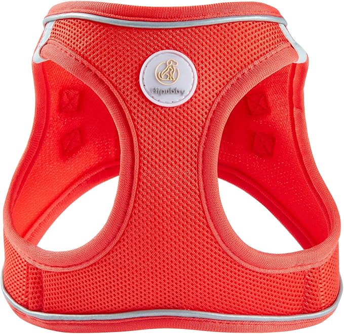 Hipubby Dog Harness and Leash Set, No Pull Soft Mesh Puppy Harness for Small Medium Dogs, Cats - Step in Reflective Breathable Lightweight Vest Harness for Walking, Training - Red, M