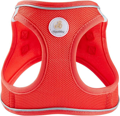 Hipubby Dog Harness and Leash Set, No Pull Soft Mesh Puppy Harness for Small Medium Dogs, Cats - Step in Reflective Breathable Lightweight Vest Harness for Walking, Training - Red, L