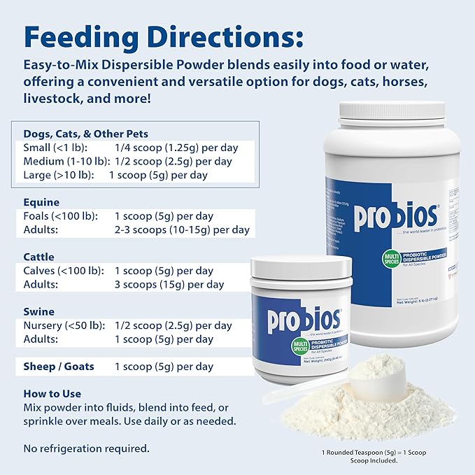 Probios Digestive Support Probiotic for All Species, Probiotics for Gut Health, Dispersible Powder, 240 gm
