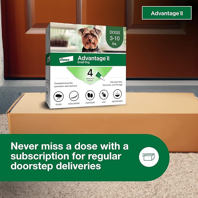 Advantage II Small Dog, 4 pack