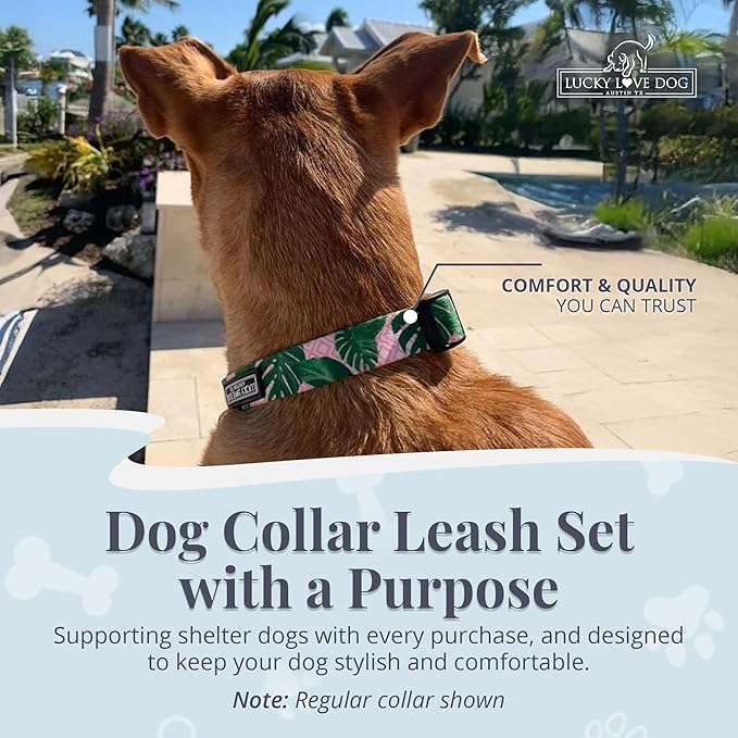 Lucky Love Dog Martingale Dog Collar & Leash - Adjustable, No-Slip, Durable, Comfortable, Soft Webbing, & Stylish Patterned Collar & Leash Set for Male and Female Dogs - Laguna Mart Combo, Medium