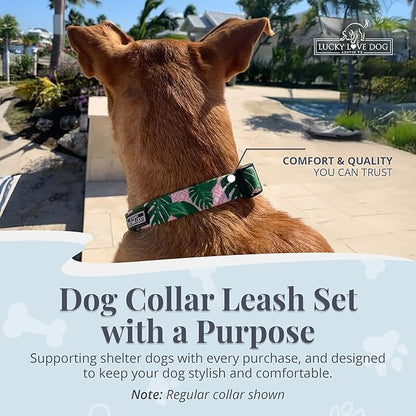 Lucky Love Dog Martingale Dog Collar & Leash - Adjustable, No-Slip, Durable, Comfortable, Soft Webbing, & Stylish Patterned Collar & Leash Set for Male and Female Dogs - Laguna Mart Combo, Medium