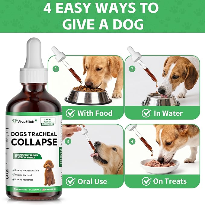 Dog Cough Treatment Liquid – Tracheal Collapse Support for Dogs – Herbal Drops with Slippery Elm, Mullein & Olive Leaf – Helps Soothe Throat, Calm Coughing & Support Breathing