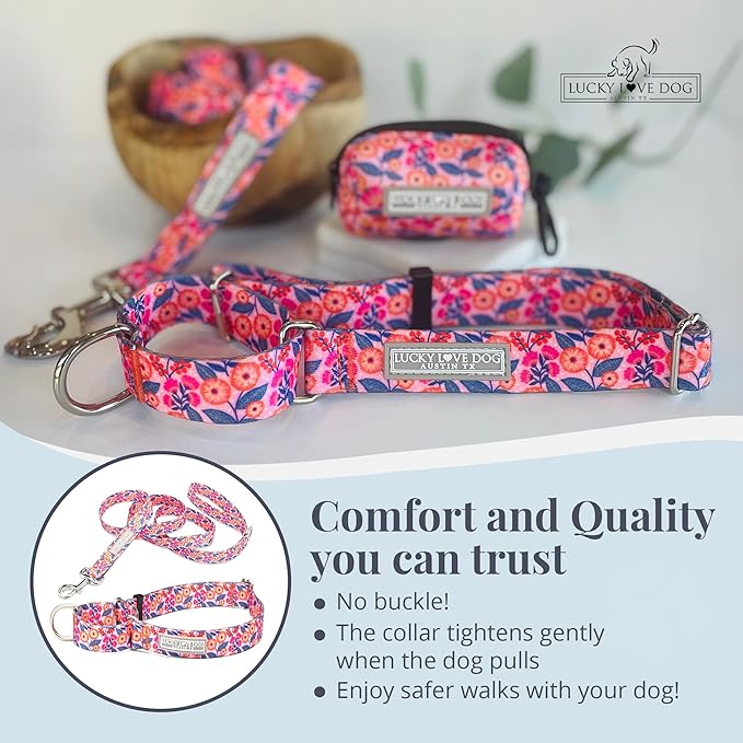 Lucky Love Dog Martingale Dog Collar & Leash - Adjustable, No-Slip, Durable, Comfortable, Soft Webbing, & Stylish Patterned Collar & Leash Set for Male and Female Dogs - Rosie Combo, Medium