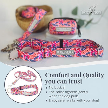 Lucky Love Dog Martingale Dog Collar & Leash - Adjustable, No-Slip, Durable, Comfortable, Soft Webbing, & Stylish Patterned Collar & Leash Set for Male and Female Dogs - Rosie Combo, Medium