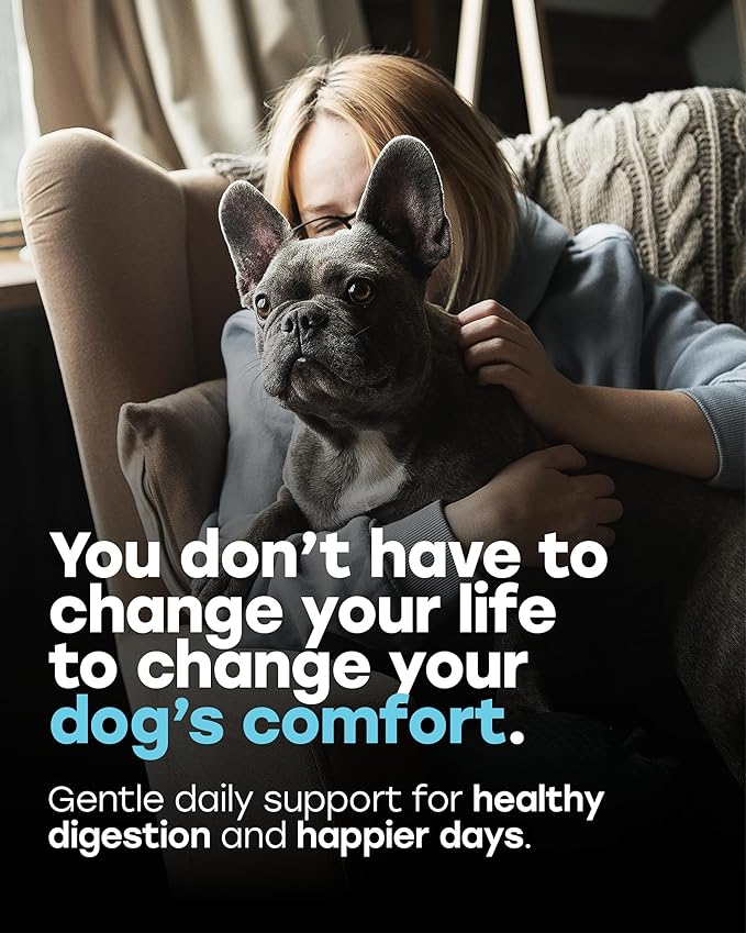Probiotics for Dogs – Gut Health Support for Less Gas, Better Digestion & Regular Stools – Soft Beef Chews with Digestive Enzymes, Prebiotics & Fiber – 140 Count