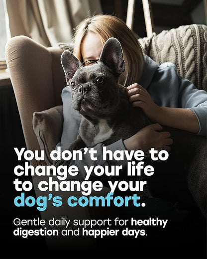 Probiotics for Dogs – Gut Health Support for Less Gas, Better Digestion & Regular Stools – Soft Beef Chews with Digestive Enzymes, Prebiotics & Fiber – 140 Count
