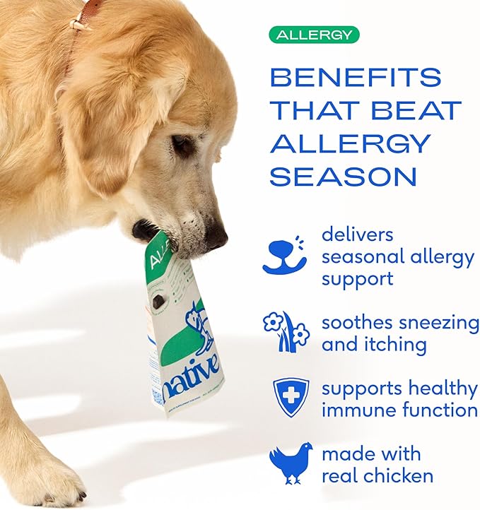 Native Pet Dog Allergy Chews - Dog Allergy Relief for Large Breeds - Supports Seasonal Itch Relief, Healthy Immune Function & Reduces Sneezing - Colostrum, Spirulina, & Probiotics - 30 Days Supply