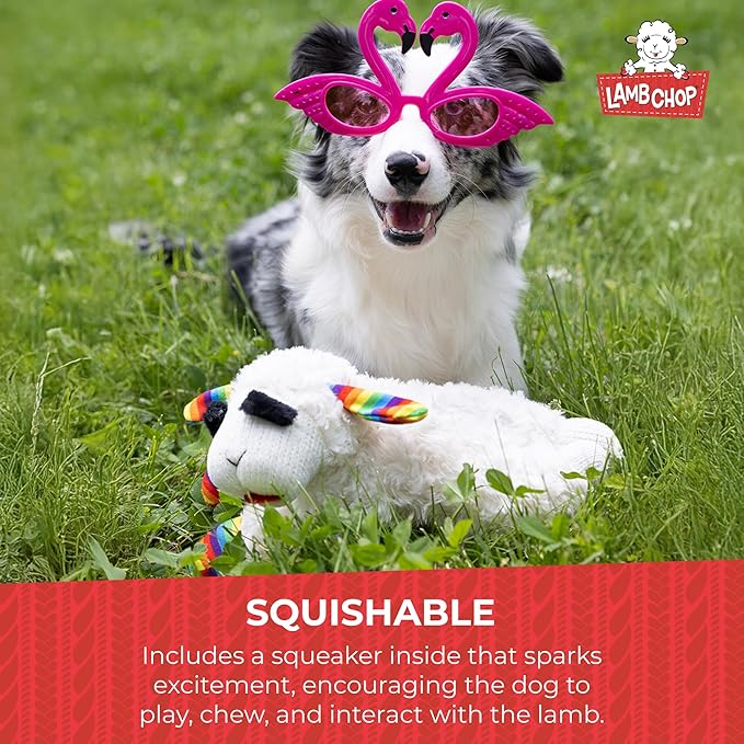 Multipet Lamb Chop Dog Plush Toy w/Birthday Hat - Squeaky Toy for All Dogs - Soft Plush - Stuffed Animal Dog Toys for Playing - Cute Birthday Toy (10.5”, Pink Hat, 5 Squeakers)