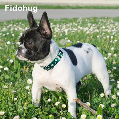 St.Patrick's Day Martingale Collar for Dogs with Buckle Adjustable Shamrock Spring Holiday Dog Collar (Clover, Small)