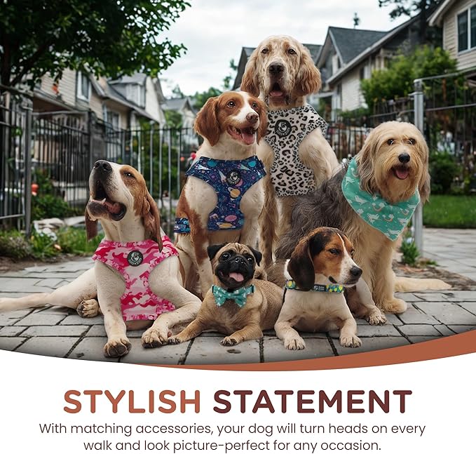 No Pull Harness and Leash Set - 6-in-1 Adjustable Vest Harness and Collars for Medium and Large Dogs. (Military Pink, Extra Small)