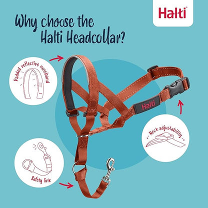 Halti Headcollar - Stop Your Dog Pulling on The Leash. Adjustable, Reflective and Lightweight, with Padded Nose Band. Dog Training Anti-Pull Collar for Medium Dogs (Size 2, Burnt Orange)