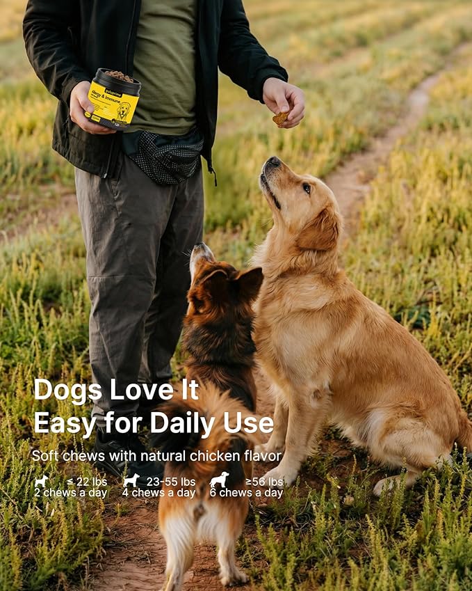 Dog Allergy Relief Chews Allergy & Immune Support for Dogs, Seasonal Allergy Support, Supports Immune Balance & Skin Comfort, Gut Health Soft Chews