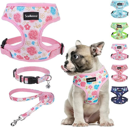 SCENEREAL Small Dog Harness Collar and Leash Set, Adjustable No Pull Pet Harnesses, No Chock Soft Mesh Vest for Doggie Puppy Medium Dogs Cats Girl or Boy,Chihuahua, Yorkie, Outdoor Walking