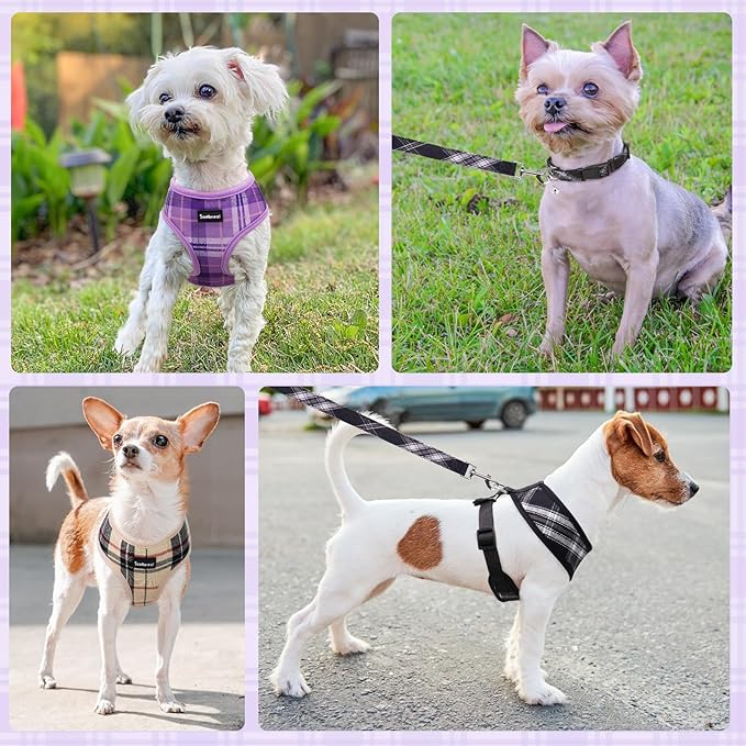 SCENEREAL No Pull Dog Harness Collar and Leash Set Small Medium Sized Dog, Soft Mesh Puppy Harnesses, No Chock Plaid Adjustable Pet Vest for Outdoor Walking Training and Running, Purple M
