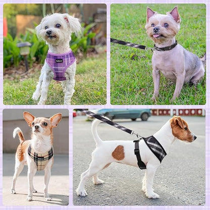 SCENEREAL No Pull Dog Harness Collar and Leash Set Small Medium Sized Dog, Soft Mesh Puppy Harnesses, No Chock Plaid Adjustable Pet Vest for Outdoor Walking Training and Running, Purple M