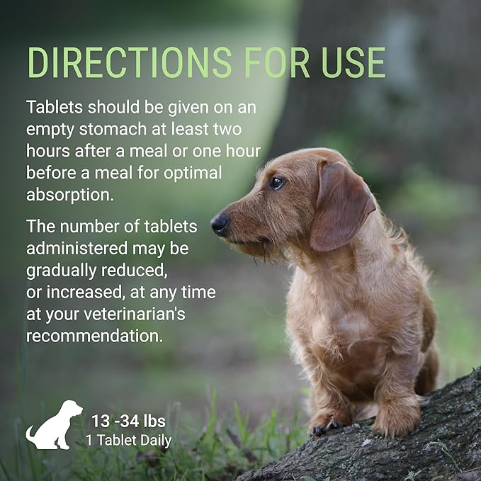 Nutramax Laboratories Denosyl for Dogs, Liver and Brain Health Supplement for Medium Dogs, with S-adenosylmethionine (SAMe), Stabilized Tablets, 30 Count