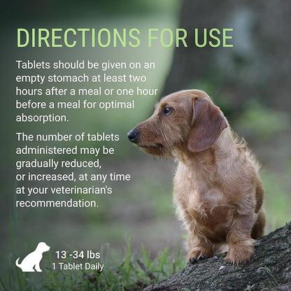 Nutramax Laboratories Denosyl for Dogs, Liver and Brain Health Supplement for Medium Dogs, with S-adenosylmethionine (SAMe), Stabilized Tablets, 30 Count