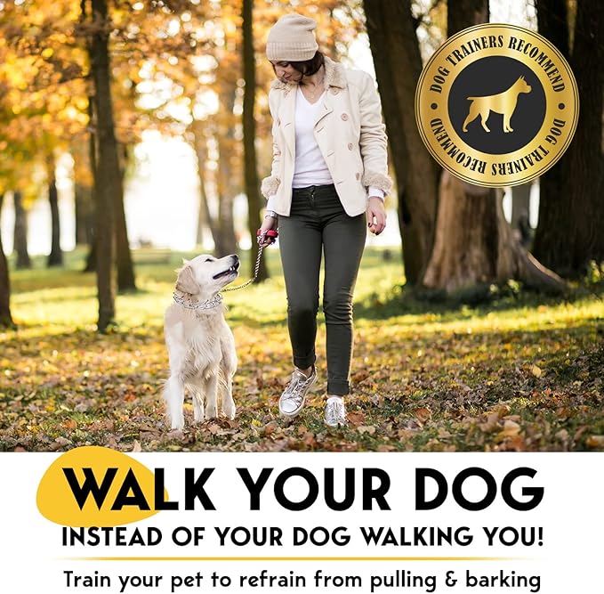 PetJett Prong Collar for Dogs - Choke Collar for Dogs, Pinch Collar for Dog Adjustable No Pull Safety Dog Training Collar for Small Medium Large Breed - Durable Stainless Steel Metal Choker Chain