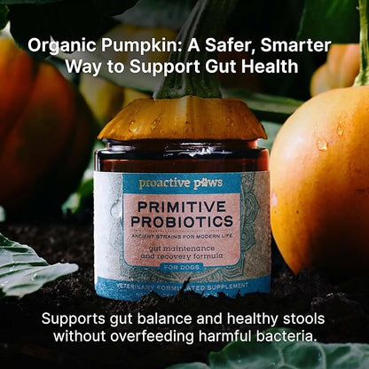 PROACTIVE PAWS Primitive Probiotics for Dogs – Species-Specific & Soil-Based Dog Probiotic Supplement for Gut Health, Digestion, Immune & Calming Support