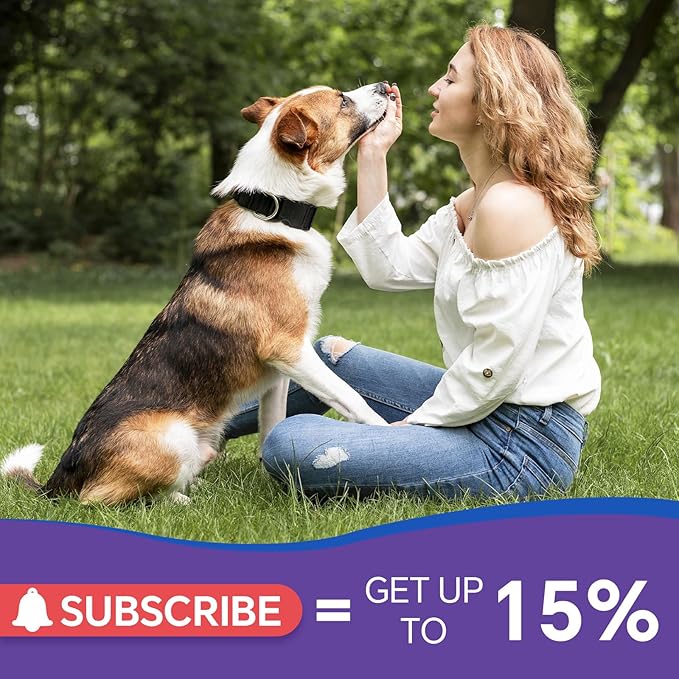 Dog Antibiotics Support - 2PCS Natural Antibiotics Care for Dogs Herbal Supplement for Cough Allergy Itch Relief Immune Support Dog UTI Comfort for All Breeds & Ages - 120 ml/4 Fl Oz Bacon Flavor