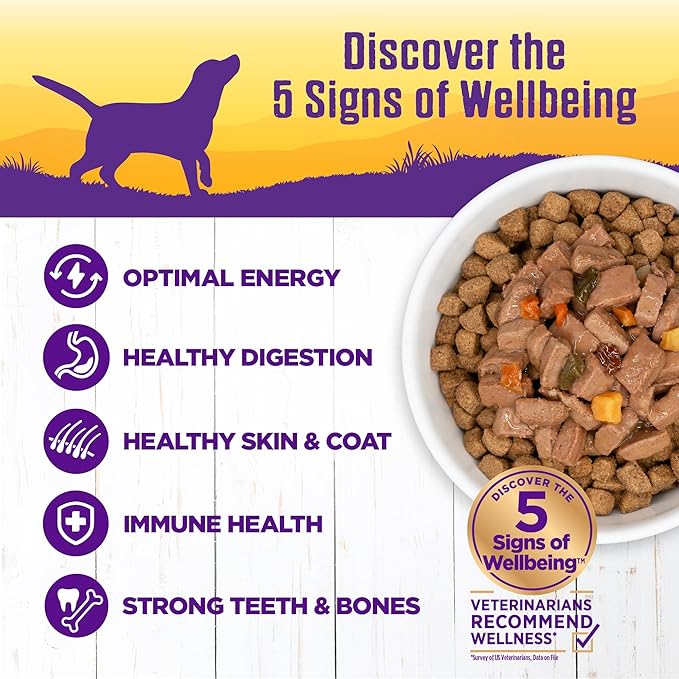 Wellness Complete Health Stew Adult Canned Wet Dog Food, Grain Free, Natural, Turkey and Duck Recipe, 12.5 oz, Pack of 12 Cans